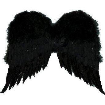 Small Black Feather Angel Wings - Make It Up Costumes 