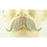 Fake Walrus Mustache 2014 - 100% Human Hair - Make It Up Costumes 