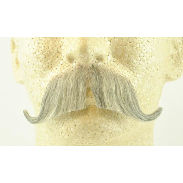 walrus moustache